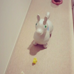 田丸麻紀さんちのRody（ロディ）は2015年限定カラー！